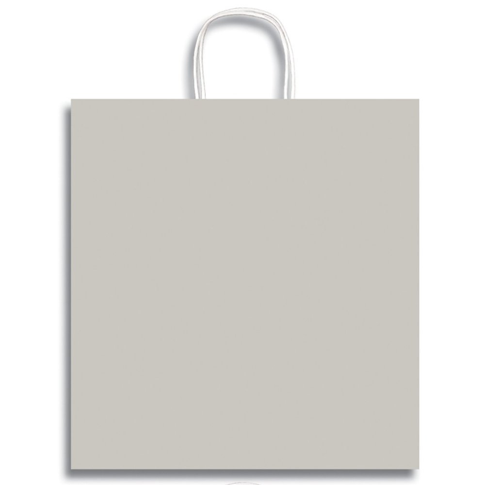 12 x 19" Jumbo Clay Coat Paper Party Supplies Favor Gift Bags with Handle (Silver)