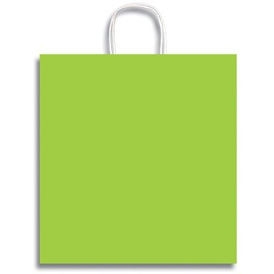 12 x 19" Jumbo Clay Coat Paper Party Supplies Favor Gift Bags with Handle (Limon Green)