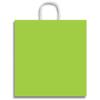 12 x 19" Jumbo Clay Coat Paper Party Supplies Favor Gift Bags with Handle (Limon Green) view 1