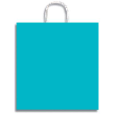 12 x 19" Jumbo Clay Coat Paper Party Supplies Favor Gift Bags with Handle (Ocean Blue)