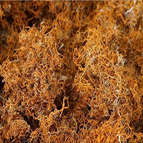 500g Wild Tibet Lethariella cladonioides / Red Snow Tea