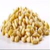 Raw Natural Shelled Pine Nuts/Pignolias (1 Lb.) - Vegan & Keto Friendly - Handpicked for Freshness & Quality - Compares to Organic - Farm Fresh Nuts Brand view 3