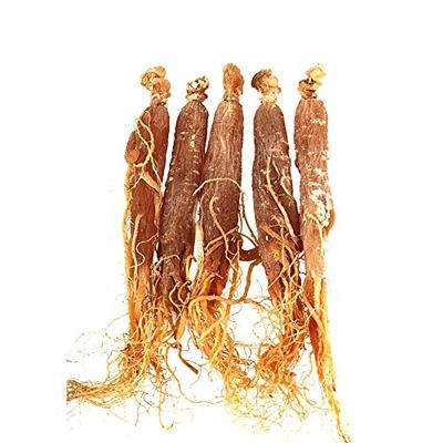 500g Panax Ginseng Root from ChangBai Moutain 6-year-old Red Ginseng Root