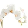 Napa Home & Garden Phalaenopsis Orchid Drop-in 26" 26" Tall 5 x 5 x 6 White view 4