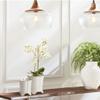 Napa Home & Garden Conservatory PHALAENOPSIS Orchid Drop-in 20-INCH 20 Inch White view 2