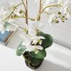Napa Home & Garden Conservatory PHALAENOPSIS Orchid Drop-in 20-INCH 20 Inch White view 4