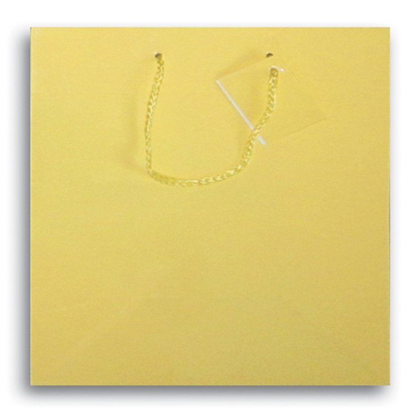 12 x 9" Medium Poly Laminated Paper Party Supplies Favor Gift Bags with Handle (Sunburst Yellow)