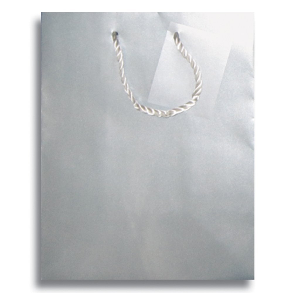 12 x 5" Small Jewelry Pearl Tone Paper Party Supplies Favor Gift Bags w/Handle (Nickel Grey)
