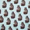 Chase and Wonder"Dandy Lion" Rolled Gift Wrap Paper (4) view 2