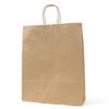 Pack Takeyama XZT00666 Handbag, Paper Bags, HZ Unbleached, 50 Sheets view 1