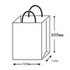 Pack Takeyama XZT00666 Handbag, Paper Bags, HZ Unbleached, 50 Sheets view 4