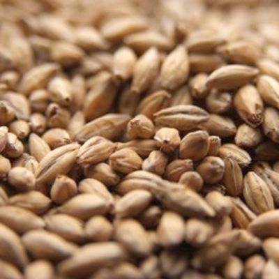 Crisp Maris Otter Malt, 1lb