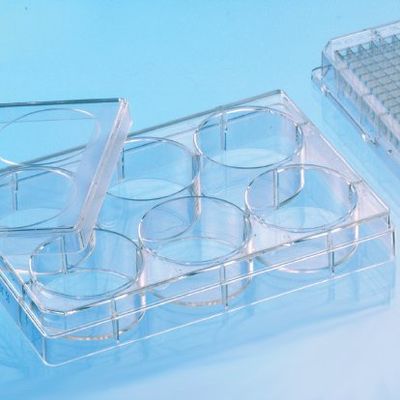 Greiner Bio-One 657930 Clear Polystyrene CELLCOAT Microplate with Lid, Coated with Poly-L-Lysine, Flat Bottom, Chimney Style, 6 Well (Pack of 50)