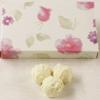 Scott's Cakes White Chocolate Covered Coffee Truffles in a 1 Pound Pastel Flower Box view 1