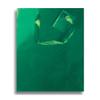 12 x 5" Small Metallic Matte Jewelry Party Supplies Favor Gift Bags w/Handle (Emerald Green) view 1