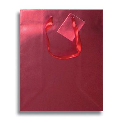 12 x 9" Medium Metallic Matte Party Supplies Favor Gift Bags w/Handle (Red)