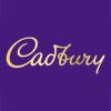 Cadbury Fudge 5 pk (Pack of 4) view 3