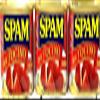 Spam Tocino Seasoning, 12 Ounce Can view 1