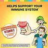 Airborne 500mg Vitamin C + Zinc Immune Support Supplement Gummies for Kids, Assorted Fruit Flavor, Gluten Free Crafted Blend with Powerful Antioxidants Vitamins C & E, 42 Gummies (4 Pack) view 2