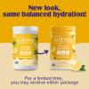 Ultima Replenisher Daily Electrolyte Powder Drink Mix  Sugar Free  Lemonade, 90 Servings  Hydration Powder with 6 Key Electrolytes and Trace Minerals  Keto Friendly, Vegan, Non-GMO view 4