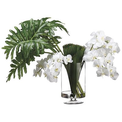 SilksAreForever 30" Hx40 W Phalaenopsis Orchid, Selloum Leaf & Palm Silk Flower Arrangement -White/Green