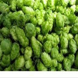 Simcoe Leaf Hop Combo Pack 6oz