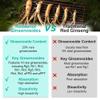 REDSENOL-1 Plus Highly Concentrated Ginseng Extract - Proprietary Formula with 16 Rare Ginsenosides (Rg3, Rg5, Rh2 Supplement)-More Potent Than Traditional Red Ginseng Supplement-90 Capsules view 2