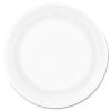 Concorde Foam Plate view 1