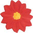 12pk Poinsettia Small Ready To Use Cake Cupcake Sugar Decoration Toppers
