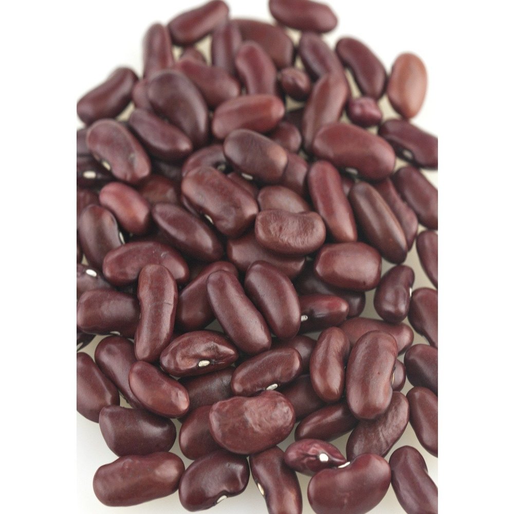 Beans, Kidney, Dark, USA, Organic, 25# Bulk by Bulk Beans by Bulk Beans
