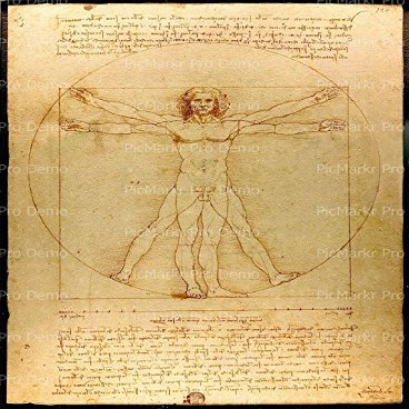 2" Round - Da Vinci Vitruvian Man - Edible Cake/Cupcake Party Topper - D20726