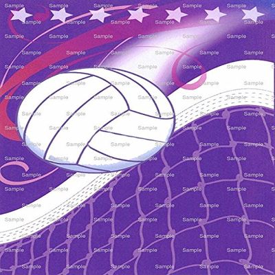 1/4 Sheet - Volleyball Birthday - Edible Cake/Cupcake Party Topper - D3099