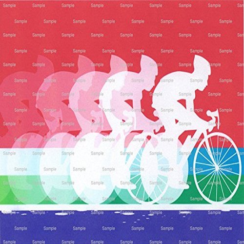 1/4 Sheet - Bike Cycling Birthday - Edible Cake/Cupcake Party Topper - D4382