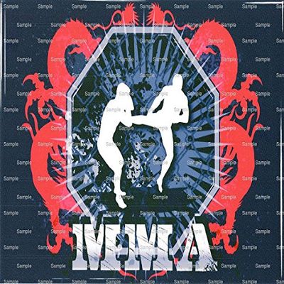 1/4 Sheet - MMA Fighting Birthday - Edible Cake/Cupcake Party Topper - D790