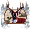 1/4 Sheet - Deer Hunting Birthday - Edible Cake/Cupcake Party Topper - D6180 view 1