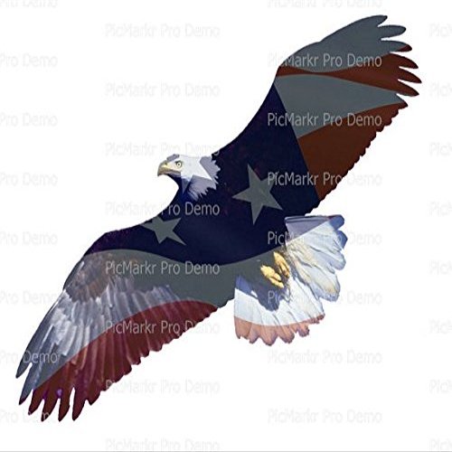 2" Round - Flying American Bald Eagle - Edible Cake/Cupcake Party Topper - D20896
