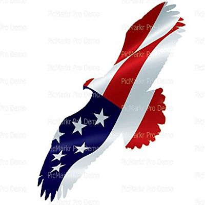 1/8 Sheet - Bald Eagle American Flag - Edible Cake/Cupcake Party Topper - D20899