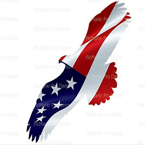 1/8 Sheet - Bald Eagle American Flag - Edible Cake/Cupcake Party Topper - D20899