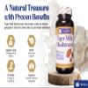 Tiger Milk Mushroom (Lignosus Rhino.) USA Grown, Lung Respiratory Immune Support 450mg/cap view 2