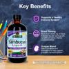 Nature's Answer Sambucus Syrup Elderberry Kids Formula, 8 Ounce | Natural Immune Booster | Taste That Kids Love | Flu Season Support | Packed with Antioxidants view 4