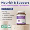Adrenal System Support & Cortisol Manager (2 Month Supply) Powerful Ashwagandha & L-Tyrosine Fatigue Supplement - Maintain Balanced Cortisol Levels, Health, & Stress Relief - Non-GMO - 60 Capsules view 2