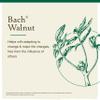 Bach Original Flower Remedies - Walnut 20ml by Bach view 3
