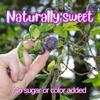 Dried Pitted Prunes Unsweetened by It's Delish, 1 Lb (16 Oz) Bag | Naturally Sweet, No Sugar Added, High Fiber Dried Fruit Snack | Healthy, Moist and Fresh Dry Plums | Vegan, Kosher view 3