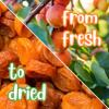 California Dried Apricots by Its Delish, 5 Lbs Bulk Bag | Fancy Apricot Dried Fruit | Naturally Sweet & Tangy Healthy Snack, No Sugar or Color Added | Vegan, Kosher view 4