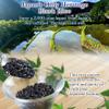 Black rice from Kumamoto, Japan, 1.1 lbs, Polyphenols comparable to blueberries, Antioxidant ingredients, Zippered for convenient storage view 2