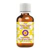 Deve Herbes Pure Kapoor Kachari Essential Oil (Hedychium spicatum) Steam Distilled 15ml (0.50 oz) view 1