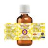 Deve Herbes Pure Kapoor Kachari Essential Oil (Hedychium spicatum) Steam Distilled 15ml (0.50 oz) view 2