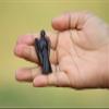 Jet Dark Smokey 2" Angel Gemstone Divine Spiritual 40 Page Crystal Therapy Booklet Gift Archangel Suruel Raphael Raguel Michael Gabriel Remiel Uriel view 3