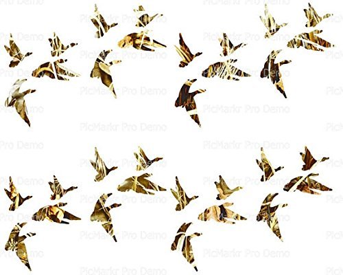 1/8 Sheet - Ducks Flying Hunting Birthday - Edible Cake/Cupcake Party Topper - D21660