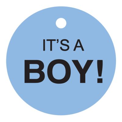 100 PCS Circle Personalized Baby Shower Favor Gift Tags It's a Boy Baby Shower Hang Tags